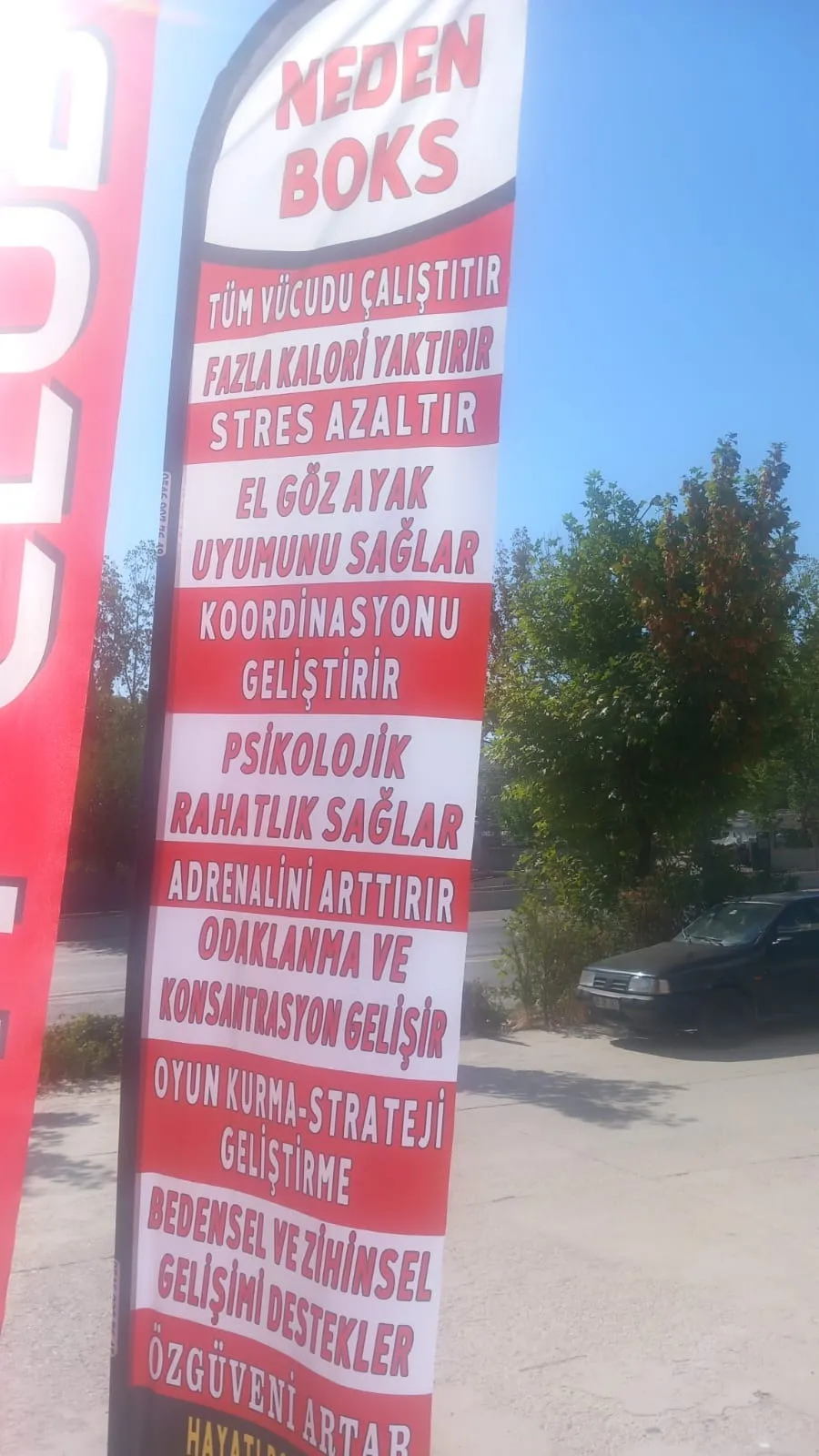 Spor Salonu Yelken Bayrağı-22